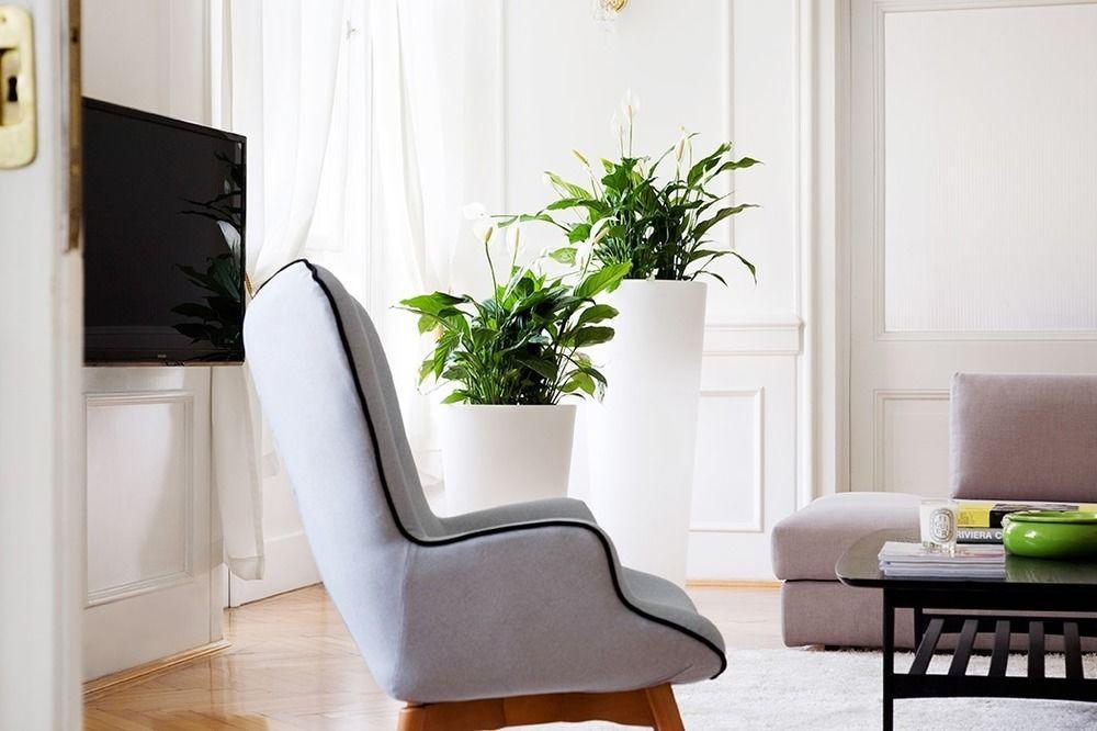 Angel Main Square Center Apartment *